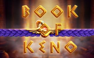 Play Book Of Keno by EVOPLAY - Online Casino Game