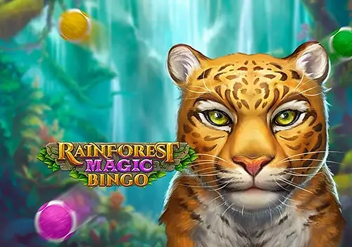 Play Rainforest Magic Bingo by Playngo - Online Casino Game