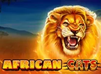 Play African Cats by RUBY PLAY - Online Casino Game