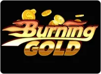 Play Burning Gold by Vegas - Online Casino Game